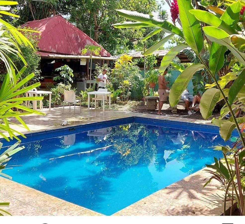 Bambu Hostel เดวิด ภายนอก รูปภาพ