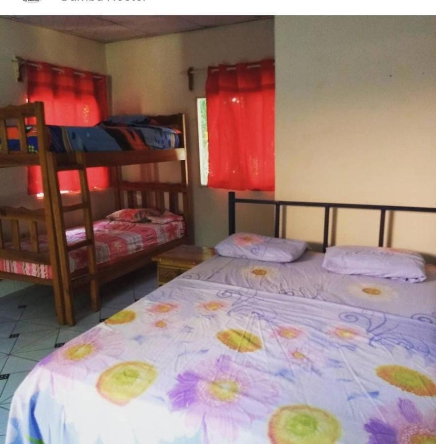 Bambu Hostel เดวิด ภายนอก รูปภาพ