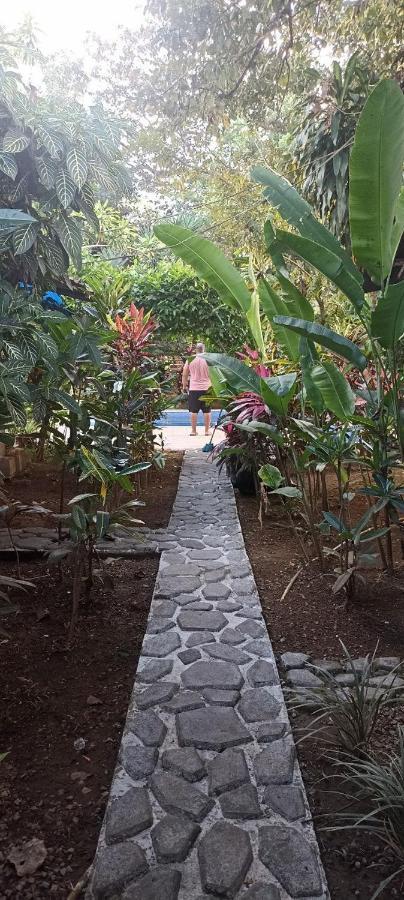 Bambu Hostel เดวิด ภายนอก รูปภาพ