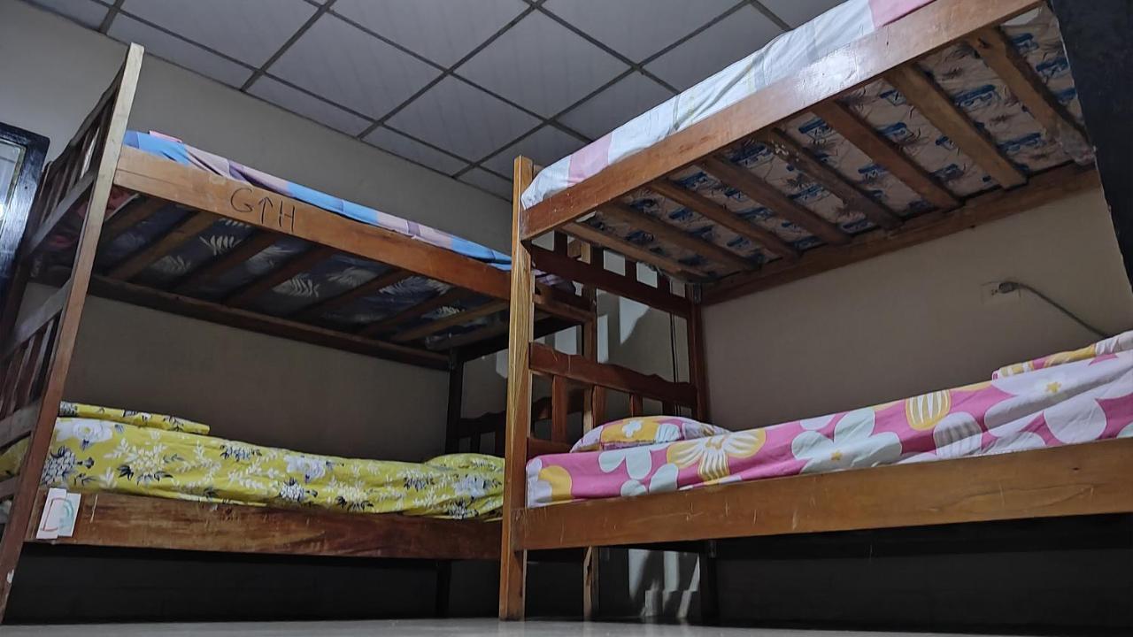 Bambu Hostel เดวิด ภายนอก รูปภาพ