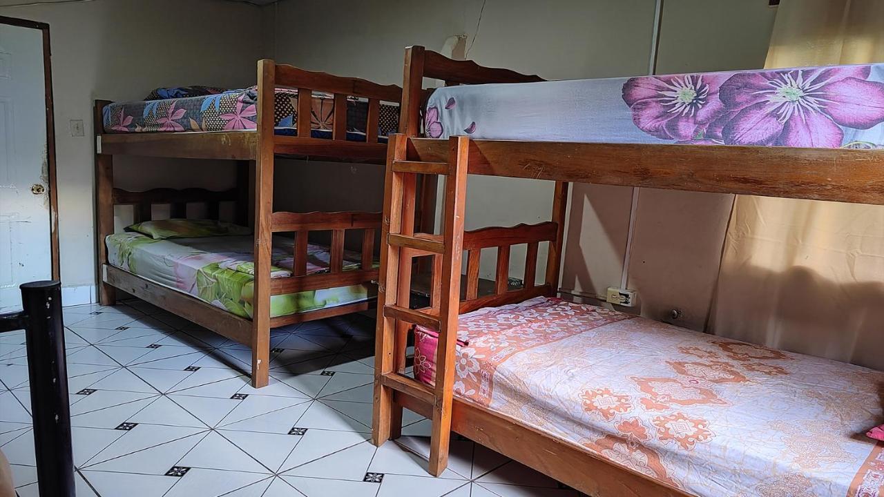 Bambu Hostel เดวิด ภายนอก รูปภาพ