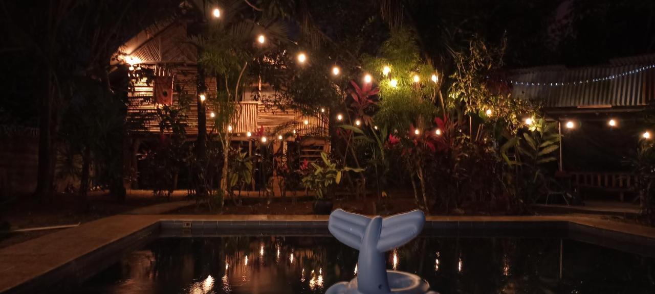 Bambu Hostel เดวิด ภายนอก รูปภาพ