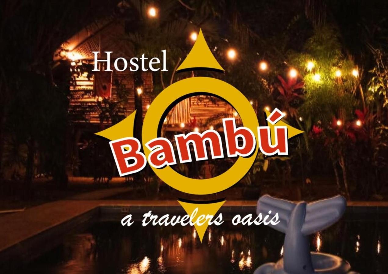 Bambu Hostel เดวิด ภายนอก รูปภาพ