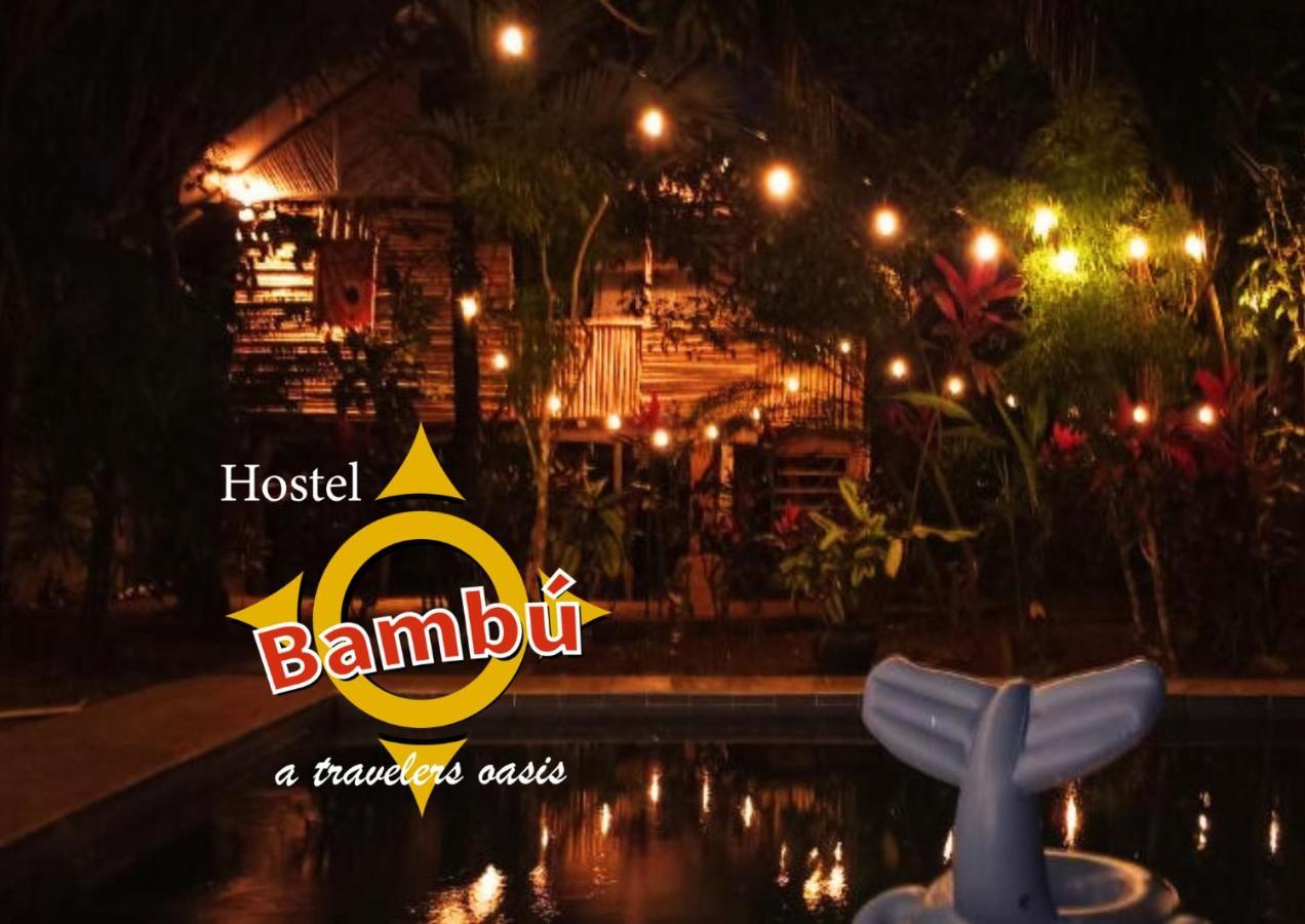 Bambu Hostel เดวิด ภายนอก รูปภาพ